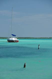 Cores do caribe na água doce da laguna Bacalar, no sul do Yucatán, no México